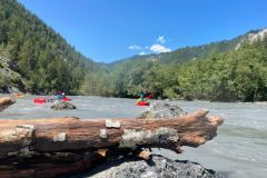 9ba30d63-7399-458f-9265-4588072fb849