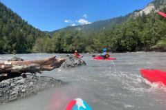 9e8d7177-d452-472b-a5d4-dbf29631d274