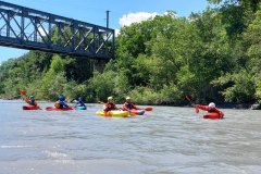 a123323c-335b-424d-9613-b5f44fa8176d