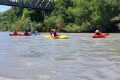 febcd0d6-452b-4bea-9565-b9b4af0bfcd4